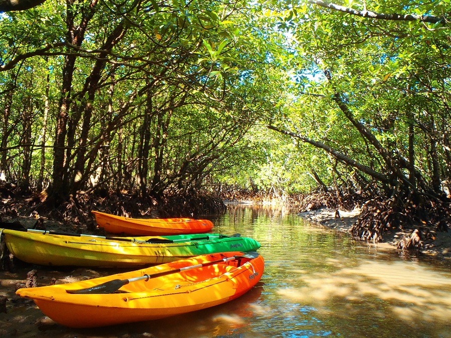 kayakkk (2)